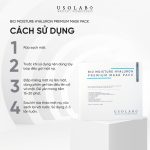 Bio Moisture Hyaluron Premium Mask Pack