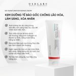BIO RENATURATION REPAIR CREAM 250ml - ảnh 2