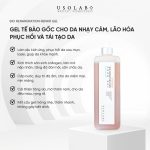 Bio Renaruration Repair Gel 1000ml - ảnh 2