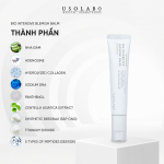 kem nền usolab