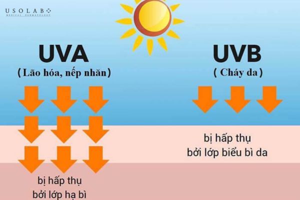 nắng 7h sáng có làm đen da không - ảnh 1