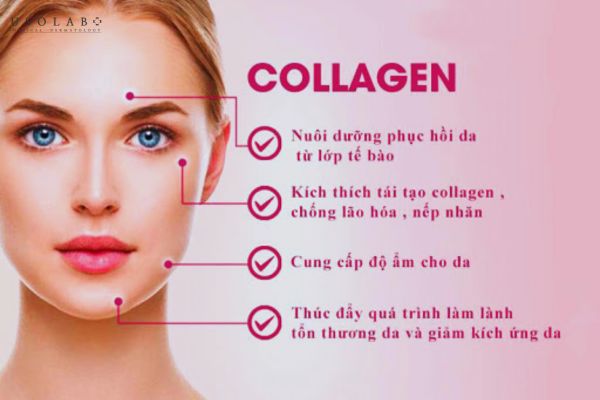 nên uống collagen hay viên cấp nước - ảnh 2