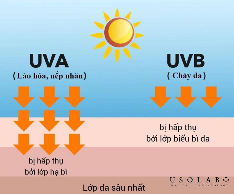 Đắp mặt nạ bơ có bị ăn nắng không? Cơ chế hoạt động trên da - ảnh 2