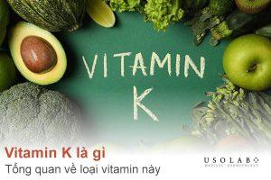 Vitamin K là gì? Tổng quan về loại vitamin quan trọng này