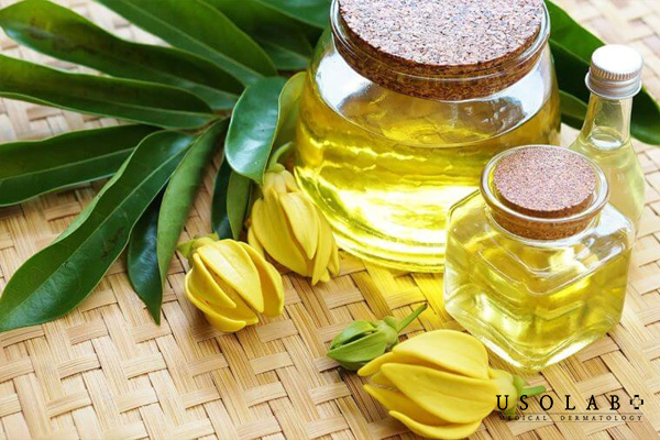 Ngọc lan tây có khả năng cân bằng tuyến bã nhờn, giúp da mềm mại
