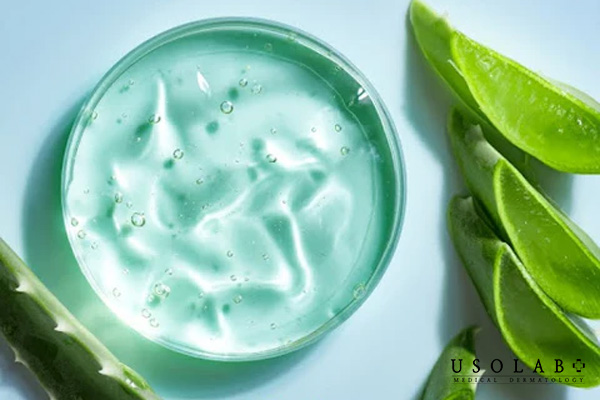 Kem dưỡng lô hội là sản phẩm dưỡng da có thành phần chính là lô hội