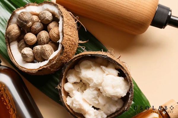 Làm kem dưỡng từ bơ hạt mỡ