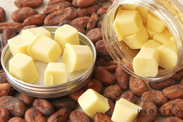 Làm kem dưỡng từ bơ ca cao