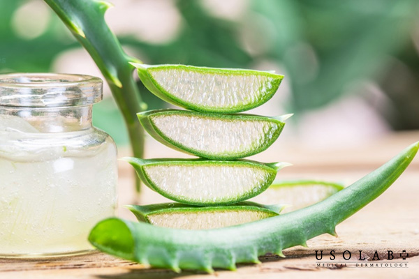 Làm kem dưỡng từ nha đam