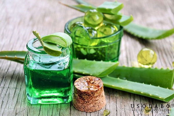 Lưu ý khi chọn mua, dùng và bảo quản kem dưỡng lô hội