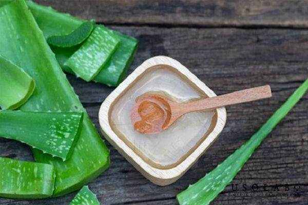 Cách sử dụng kem dưỡng lô hội hiệu quả nhất
