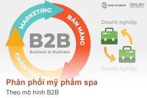 Phân phối B2B mỹ phẩm spa