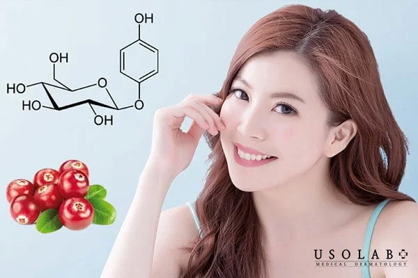 Arbutin ức chế enzyme