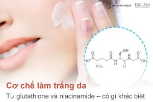 Cơ chế trắng da từ glutathione và niacinamide: Làm sáng da từ trong ra ngoài