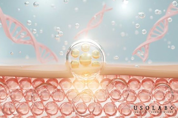 Cơ chế hoạt động của Exosome trên da.