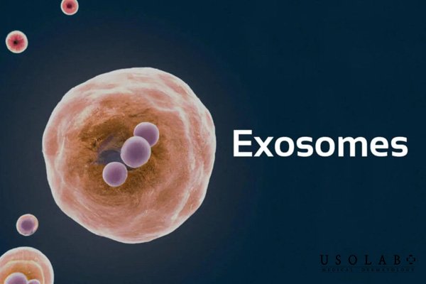 Cơ chế Exosome giảm viêm và hỗ trợ làm lành