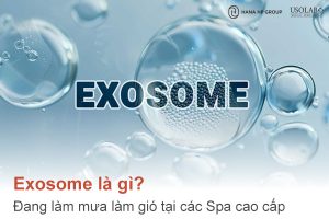 Exosome