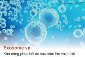 Exosome và khả năng phục hồi da