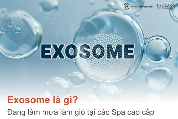 Exosome