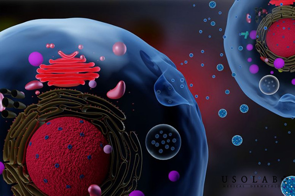 Hạn chế và lưu ý khi dùng Exosome.