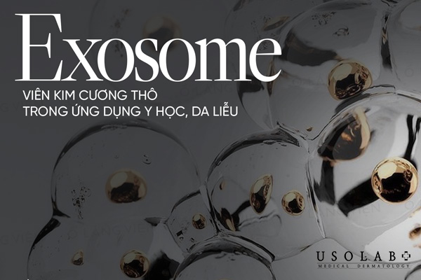Exosome là những túi ngoại bào siêu nhỏ, có kích thước từ 30-150 nanomet