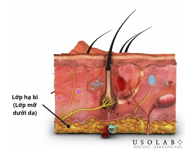 Serum kiềm dầu