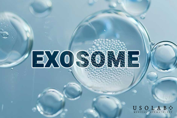 Exosome đóng vai trò quan trọng trong việc truyền tín hiệu và thông tin sinh học giữa các tế bào