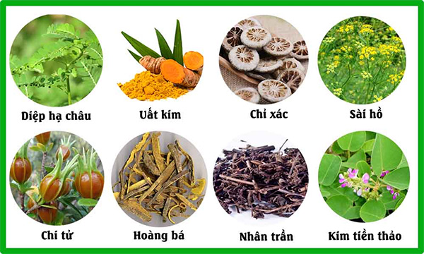 Cách sử dụng cây thuốc nam để làm trắng da hiệu quả