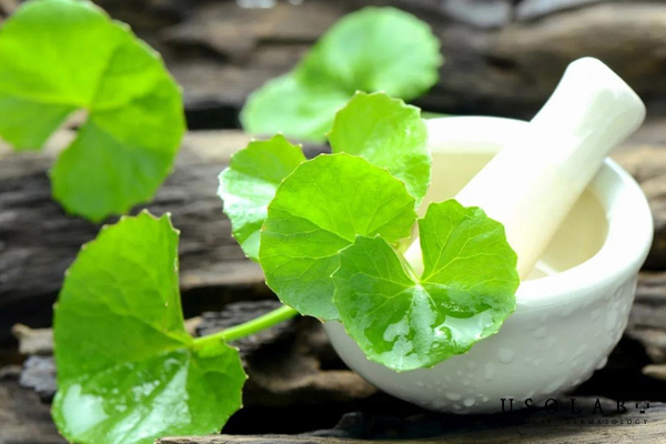 Hoàn toàn có thể kết hợp cây thuốc nam với dưỡng trắng hiện đại
