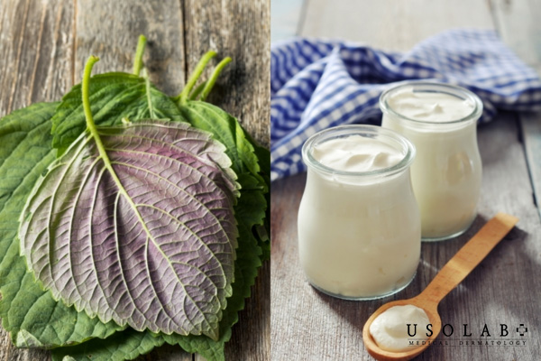 Mặt nạ lá tía tô và sữa chua