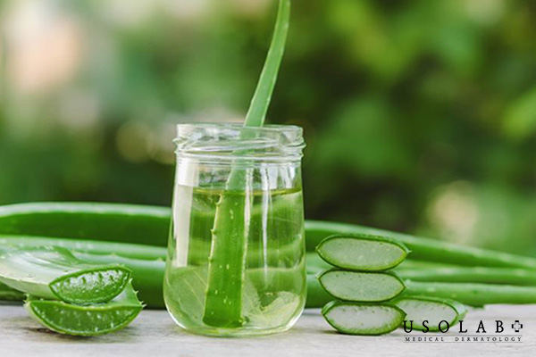 Nha đam giúp cấp ẩm, làm dịu da