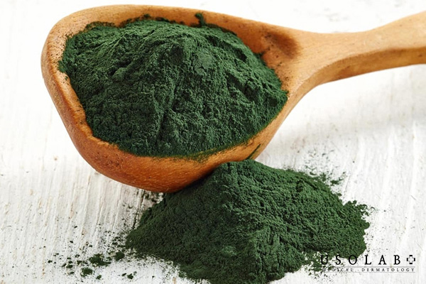 Tảo xoắn (Spirulina) là một loại vi khuẩn lam dạng sợi xoắn