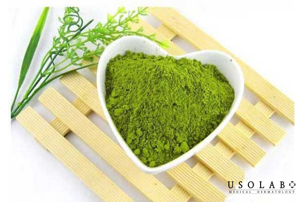 Bột trà xanh có hàm lượng vitamin và hoạt chất chống oxy hoá dồi dào
