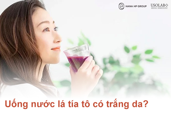 Uống nước lá tía tô có trắng da không phân tích thành phần dinh dưỡng