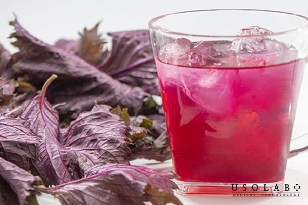 Uống nước lá tía tô