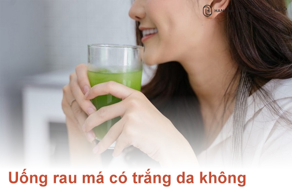 Uống rau má có trắng da không Bác Sĩ giải thích rõ tác dụng thực tế