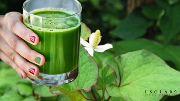 Rau diếp cá có nhiều hoạt chất quý như flavonoid, decanoyl acetaldehyde, và vitamin A