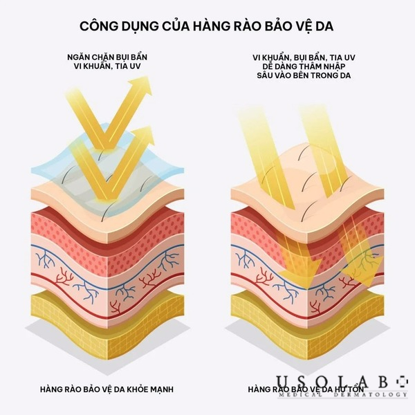 Phục hồi hàng rào bảo vệ da, làm dịu và giảm viêm, cung cấp độ ẩm và dưỡng chất Phục hồi hàng rào bảo vệ da, làm dịu và giảm viêm, cung cấp độ ẩm và dưỡng chất