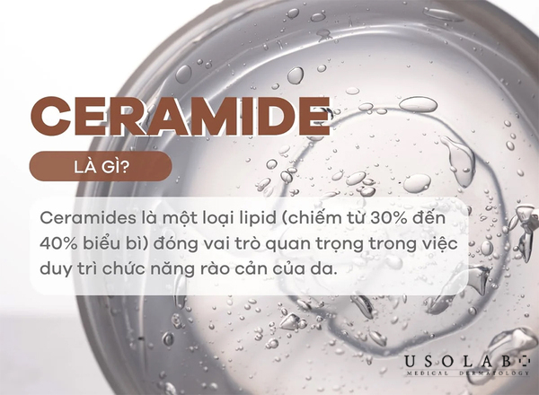 Ceramide, Vitamin B5, madecassoside và chiết xuất rau má, niacinamide (Vitamin B3) Ceramide, Vitamin B5, madecassoside và chiết xuất rau má, niacinamide (Vitamin B3)