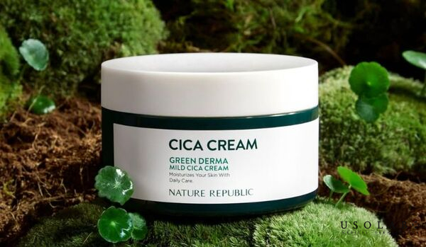 Chiết xuất Rau Má và Keo Ong Nature Republic Green Derma Mild Cica Chiết xuất Rau Má và Keo Ong Nature Republic Green Derma Mild Cica