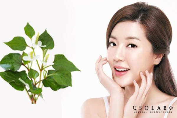 Lưu ý khi làm trắng da bằng rau để đạt hiệu quả