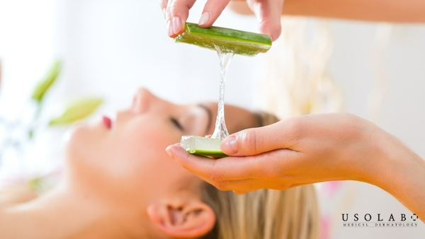 Nha đam nổi bật với công dụng dưỡng ẩm vượt trội
