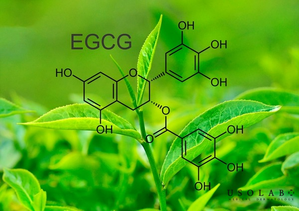 Trà xanh – giàu EGCG chống oxy hóa mạnh, làm dịu da mụn