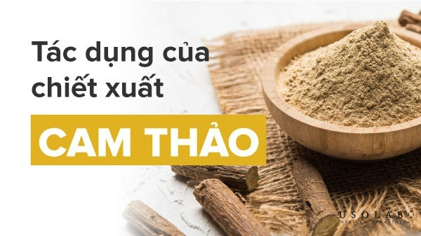Cam thảo – làm sáng da, ức chế melanin, giảm thâm sau mụn
