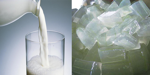 Công thức cho da dầu – thêm gel nha đam