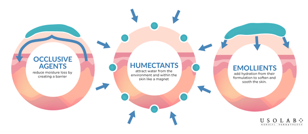Kem khóa ẩm — occlusive (Occlusive / Ointment)