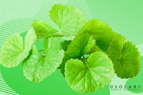 Các lựa chọn thay thế Vitamin C khi da đang mụn viêm Các lựa chọn thay thế Vitamin C khi da đang mụn viêm