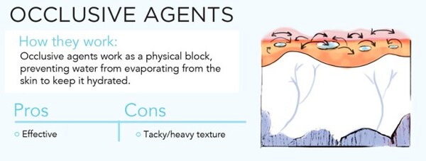 Chất khóa ẩm – Occlusive