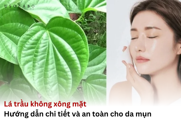 lá trầu không xông mặt