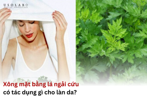 xông mặt bằng lá ngải cứu có tác dụng gì